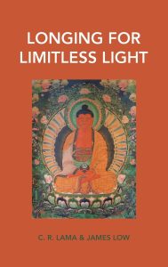 Longing for Limitless Light book